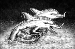 Batolphins
